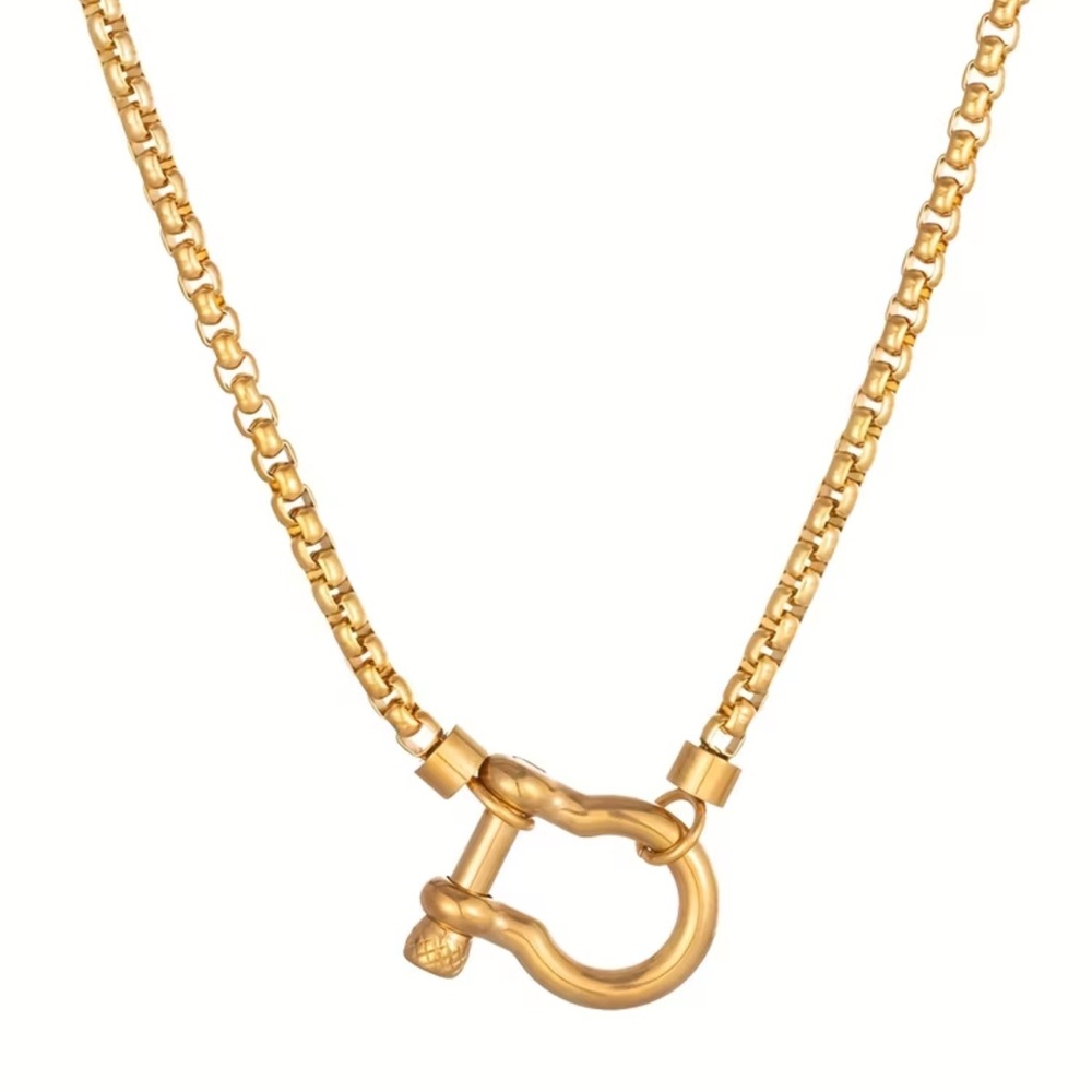 New! Gold Carabiner Waterproof Necklace (2010)